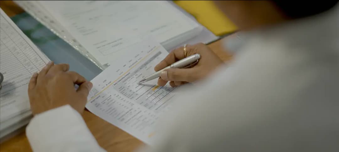 Identifies root causes