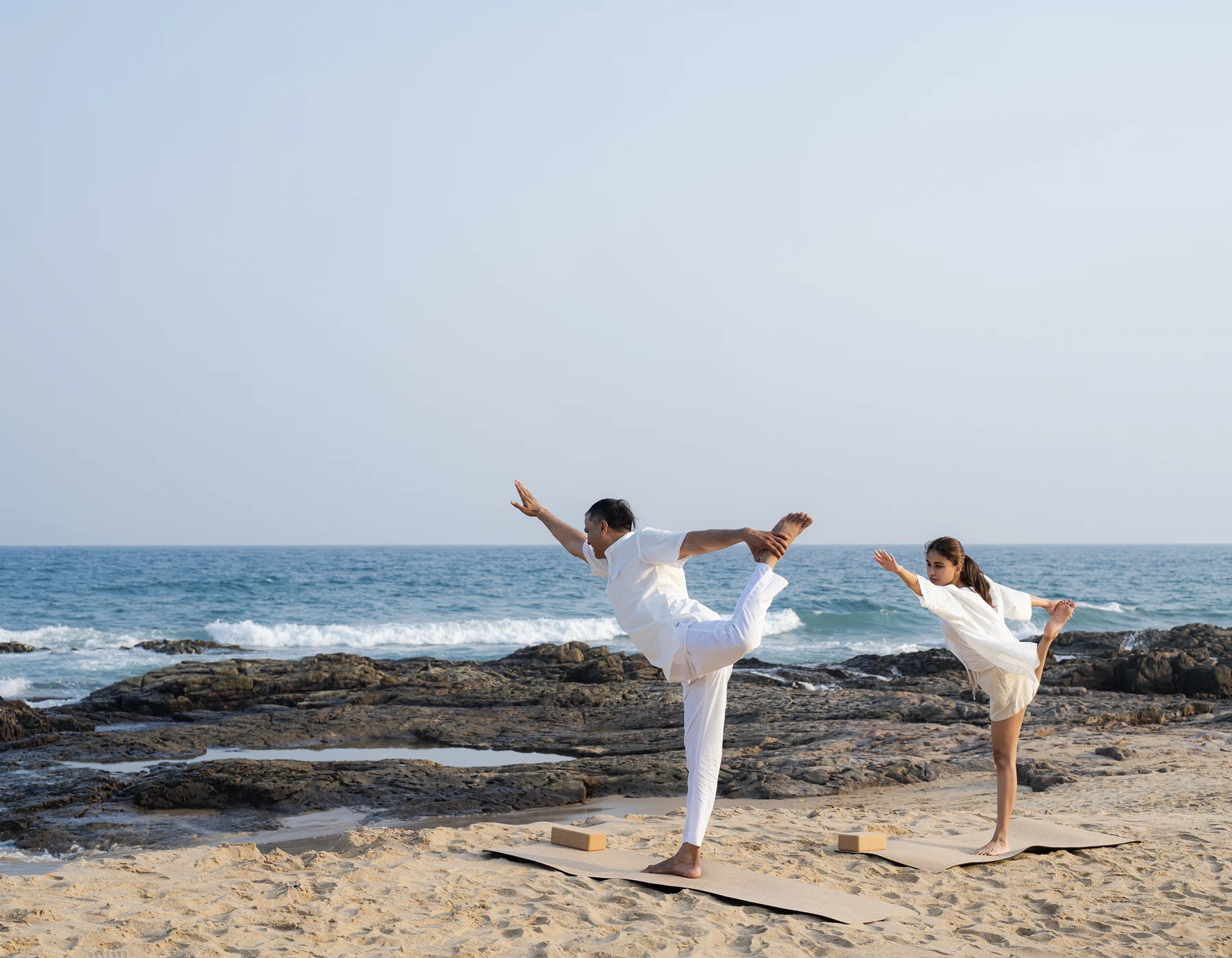 best wellness centres in india