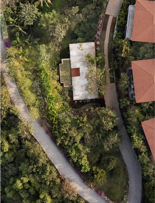 wellbeing-banner-home