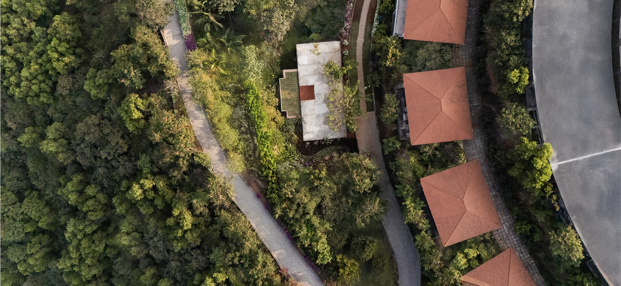 wellbeing-banner-home